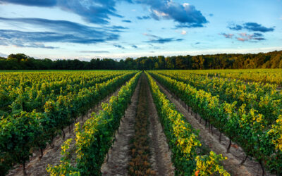 Taste Canada London 2026